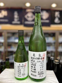 画像1: 亀泉　純米吟醸　CEL-24　生酒