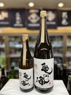 画像1: 亀の海　純米吟醸ひやおろし　生酛Modernize Terroir Kiyokawa