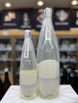 画像1: 大典白菊　サンライズ　ホワイト　直汲み生