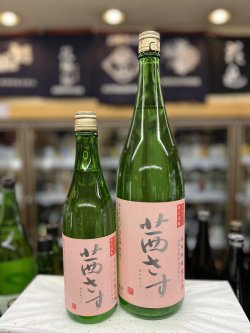 画像1: 茜さすヌヴォー　特別純米無ろ過生