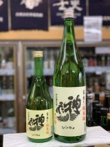 画像: 神亀　純米酒