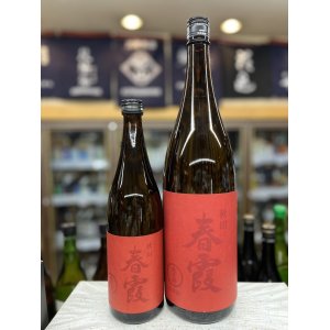 画像: 春霞　赤ラベル　純米酒