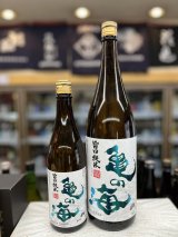 画像: 亀の海　旨口純米酒
