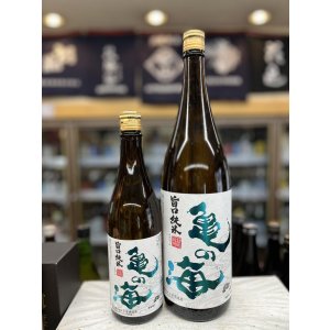 画像: 亀の海　旨口純米酒