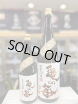 画像: 亀の海 純米大吟醸 「金紋錦」terroir Gorobei