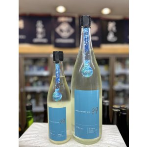画像: 寒菊〜OCEAN99 青海 -Summer Sea-2025~