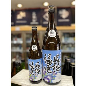 画像: 長陽福娘　純米酒　ライト　直汲み火入れ