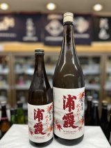 画像: 浦霞　純米酒　秋あがり