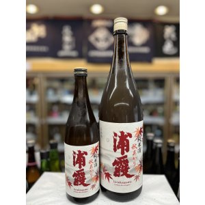 画像: 浦霞　純米酒　秋あがり