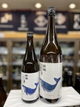 画像: 酔鯨 特別純米 しぼりたて生酒